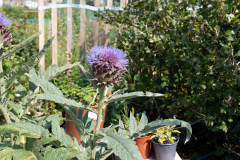 P1013242