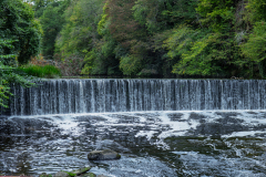 P1023681
