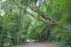 P1023686