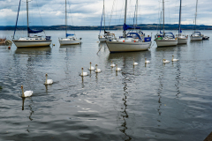 P1023704