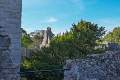 P1023795-1