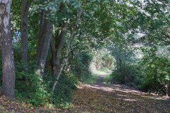 P1023752