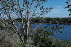 P1023755
