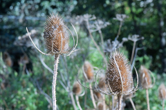 P1023760