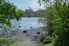 P1023766