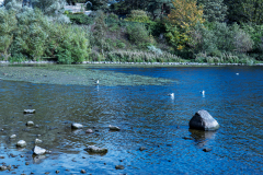 P1023771