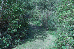 P1023773
