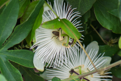 P1013398