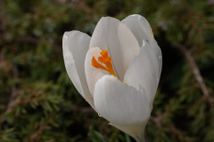 P1037456