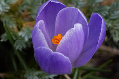 P1037458