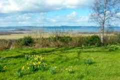 20150412_153747