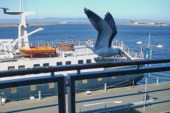 DSC00030