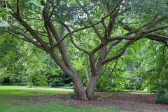 P1013492