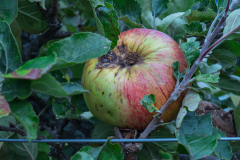 P1013495