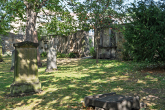 P1013198