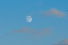 P1025118