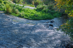 P1023918