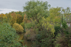 P1024156