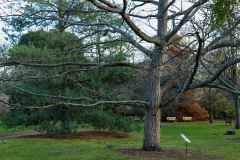 P1024816