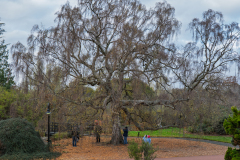 P1024943